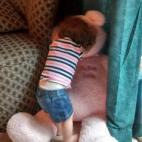 5c8b73b92300003000e83add