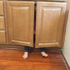 5c8b73bb230000040124c49a