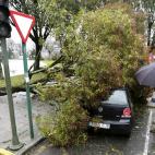 5c8b5a572300005400e7fac4