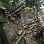 5c8b5a592300002f00e7faca