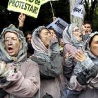 Otros han decidido ir disfrazados.