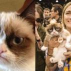 Trad parece tener una dueña muy simpática y amable, Tabatha Bundesem, de 29 años. No sabemos la gracia que le hace a él ser el icono mundial del enfado, la grima, el malestar. ¿Será feliz, en el fondo? Ella igual sí, porque se ha vuelto ...