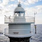 5e2ed599240000300664c6ba