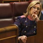 La líder de Unión Progreso y Democracia fue eurodiputada por el PSOE desde 1999 hasta 2007, cuando volvió a España a fundar su nueva formación política. Su ascenso es atípico pero también fulgurante. Su actividad parlamentaria fue disc...