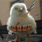 5d663b2c3c0000510046aeb5