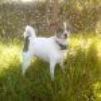 5d6521102500003400875138