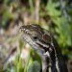 5d65211125000032007271fc