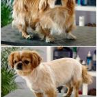 5e37d3fd220000350423de6a