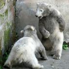 5e37d3fd2400006904ed5d08