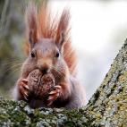 5e37d3fe220000300023de74