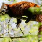 5e37d3ff230000f9066ecbf3