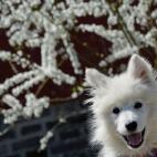 5e37d4012400003000ed5d20