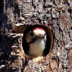 5e37d402230000f9066ecc07