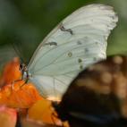 5e37d40223000060006ecc09