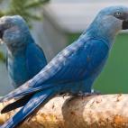 5e37d4032400003000ed5d38