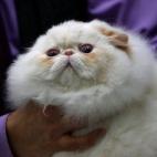 5e37d4032400006904ed5d3e