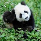 5e37d40523000060006ecc17