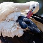 5e37d4052400003100ed5d4b