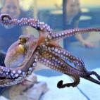 5e37d4052300000e046ecc1b