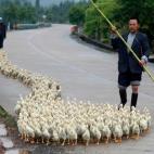 5e37d406230000fa066ecc20