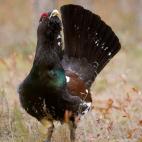 5e37d4072400003100ed5d58