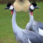 5e37d4072300000e046ecc2a