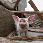 5e37d4082400003100ed5d5e