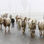 5e37d408220000350423deac