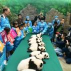 5c8b1f6b3b000054066d064b