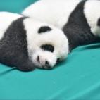 5c8b1f6b3b000054066d064e