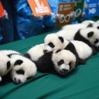 5c8b1f6b24000093024ce7aa