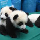 5c8b1f6c2500000d04ca1917