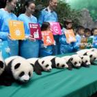 5c8b1f6c22000051001a5524