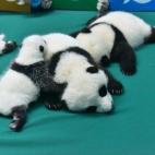 5c8b1f6d3b000054066d065c