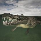 5c8b1f1d22000051001a546f