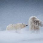 5c8b1f1e2500000704ca187f