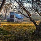 5c8b1f1e2400004205a423dc