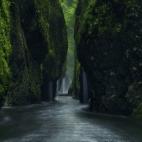 5c8b1f1f2500000d04ca1881