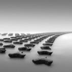 5c8b1f1f240000f7054ce70e