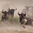 5c8b1f212500000704ca1887