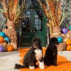 5c8b20a32000009e04703711