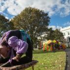 5c8b20a3230000d504242e2f