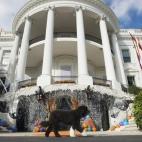 5c8b20a4360000ba1a6c891e