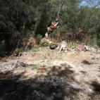 5c8ae6e72000009e046fefe3