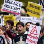 5c8b1d8c360000a61b6c7f6a