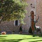 En plena Ribera del Duero, este lujoso hotel de 96 habitaciones ofrece al visitante rutas por las bodegas Arzuaga, actividades temáticas, participación en el proceso de vendimia y tratamientos de spa, entre los que también se incluye la vinot...
