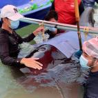 5c8a3c1a260000e104fe15c7