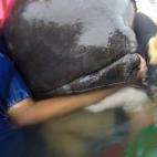 5c8a3c1b260000ea04fe15c9