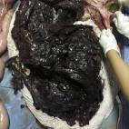 5c8a3c1c2300007f0122d6b8