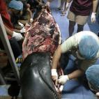 5c8a3c1c2500000a0680e17c